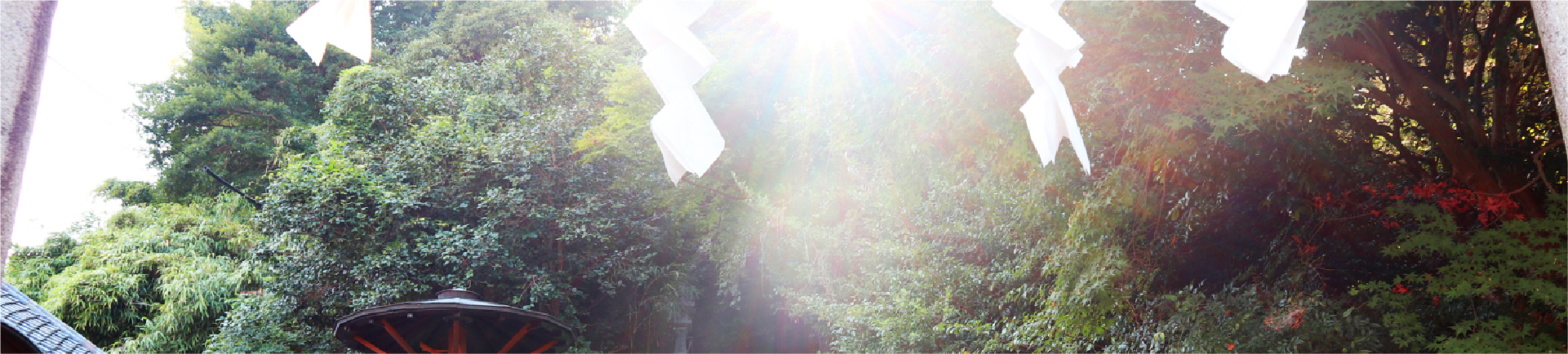 飛鳥坐神社とは